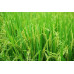  Rigel Spices Premium Ponni Boiled Rice - 10LB