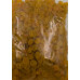 Deep Golden Raisins  14 OZ