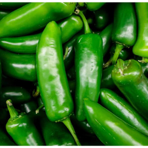 Fresh Jalapeno Pepper 0.5lb $0.69