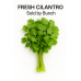 Fresh Cilantro -  $0.49/ Bunch