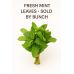 Fresh Mint Leaves - PK