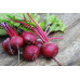 Beetroot - $1.99/ lb